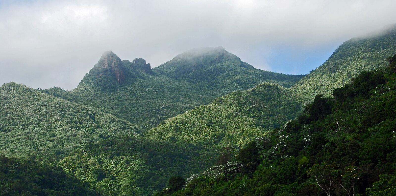 El Yunque National Forest
