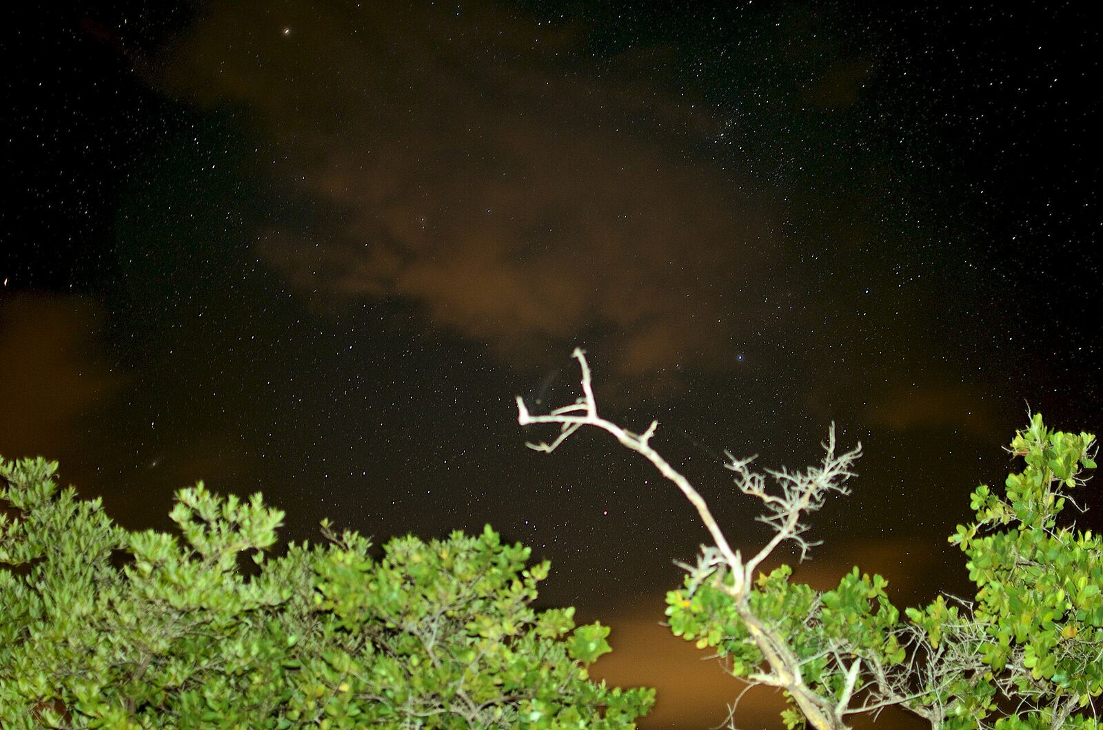 Mosquito Bay, Vieques