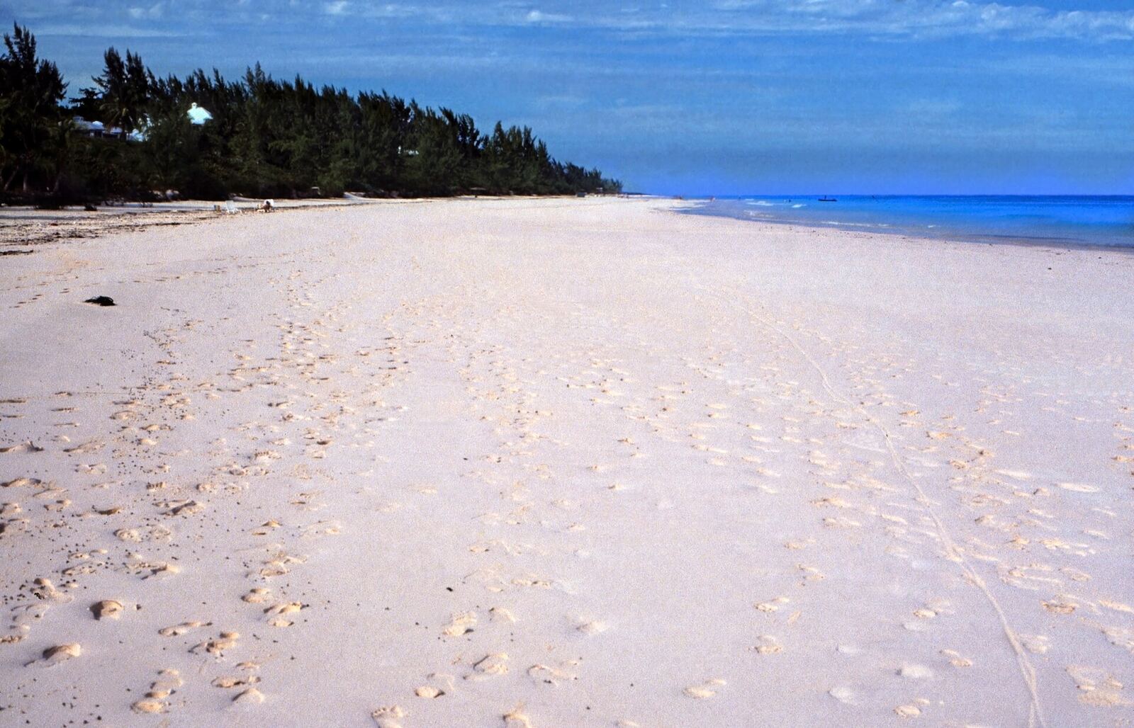 Pink Sands Beach, Harbour Island