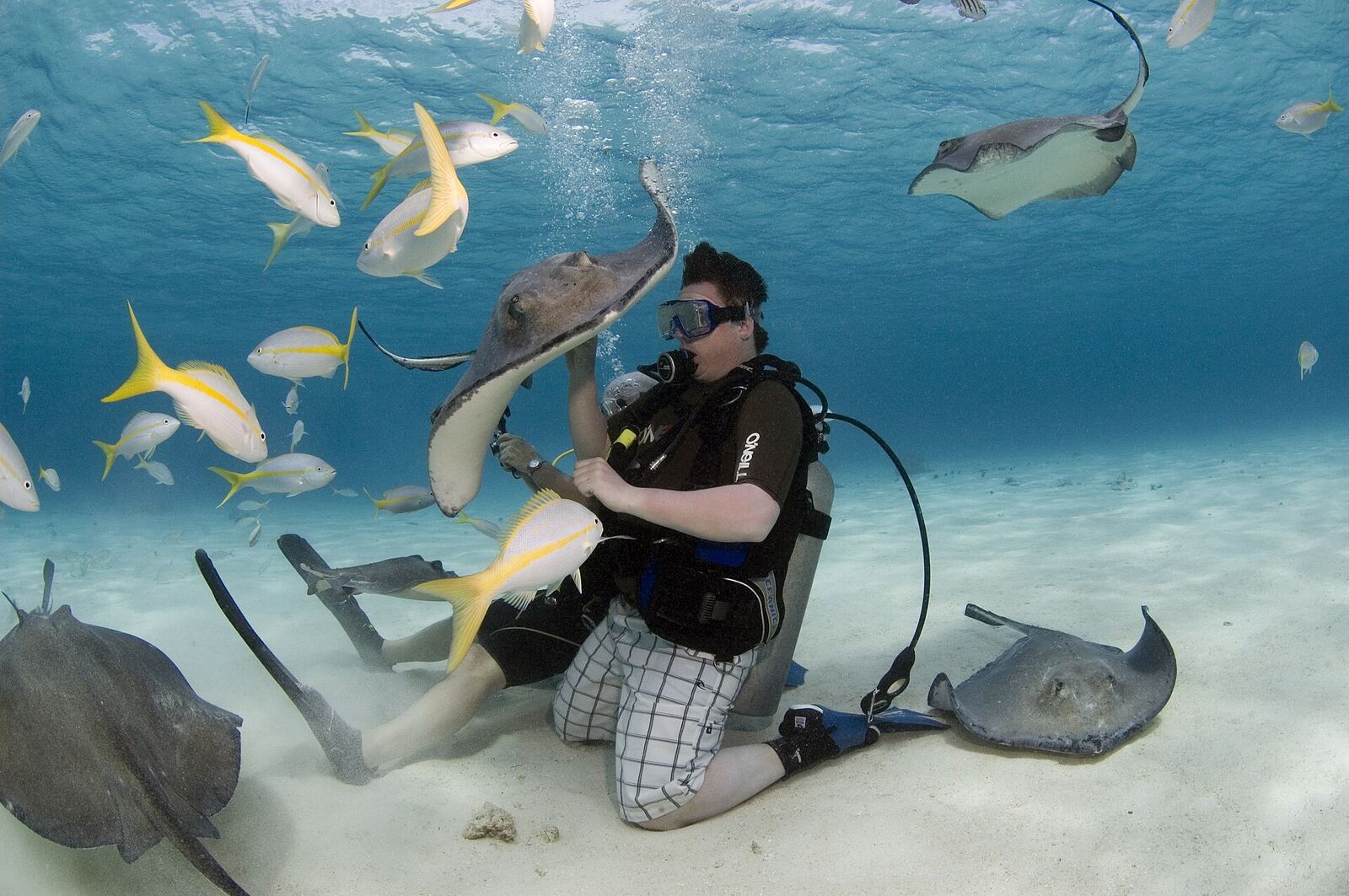 Stingray City